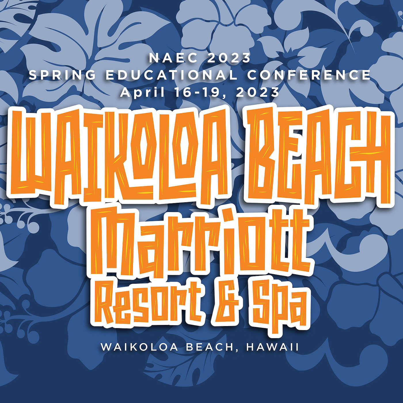 Home NAEC Spring Educational Conference